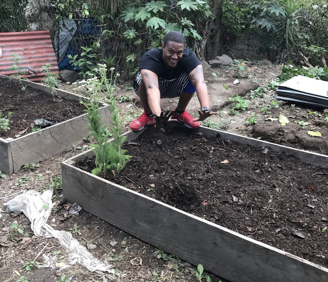 Building sustainable food garden
